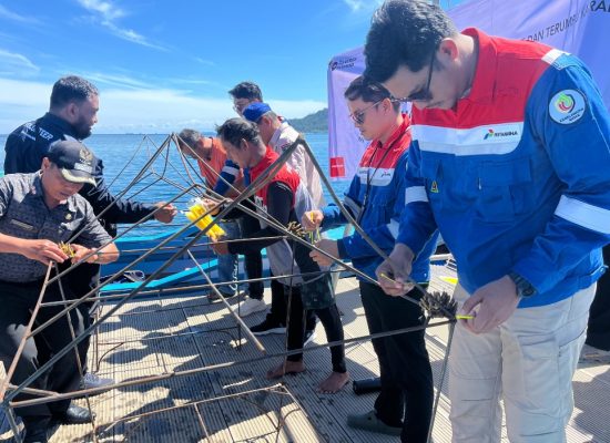 Pertamina Patra Niaga dan Stakeholder Transplantasi Terumbu Karang di Pulau Pasumpahan Peringati Hari Lingkungan Hidup Sedunia