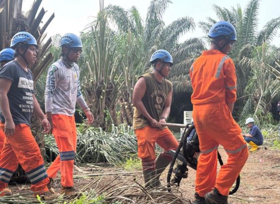Pasca Cuaca Ekstrem, PLN Kebut Recovery Sistem Kelistrikan di Sumatera Utara