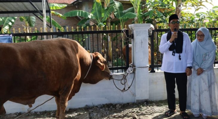 Pemko Tanjungbalai Serahkan Sapi Kurban Presiden Prabowo untuk Jamaah Masjid As-Salamah