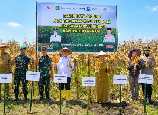 OJK Sumut Perkuat Klaster Jagung Langkat, Perluas Akses Pembiayaan Petani hingga Dukung Ketahanan Pangan