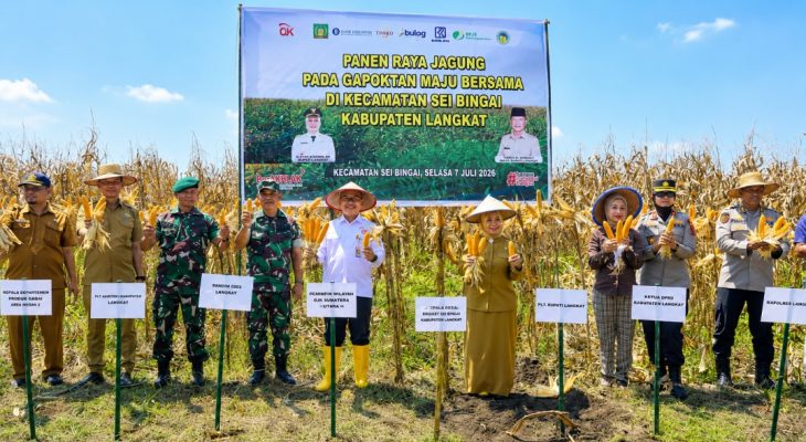 OJK Sumut Perkuat Klaster Jagung Langkat, Perluas Akses Pembiayaan Petani hingga Dukung Ketahanan Pangan