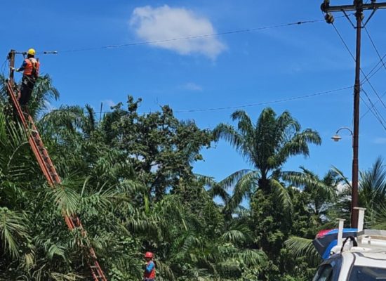 Sambut HUT ke-81 RI, PLN Kerahkan Personel Delapan ULP Perkuat Keandalan Listrik di Rantauprapat dan Kotapinang