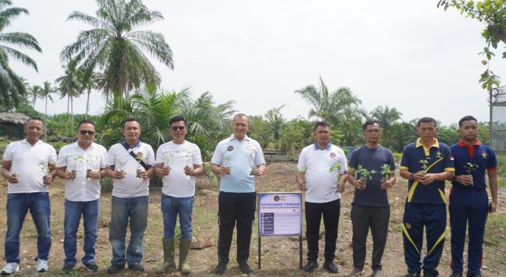 Lapas Narkotika Langkat Kembangkan Budidaya Pepaya California, Libatkan Warga Binaan