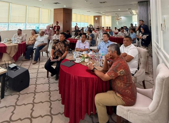 PMT Perkuat Kinerja Terminal Petikemas Domestik Belawan, Tambah 2 QCC dan 4 RTG