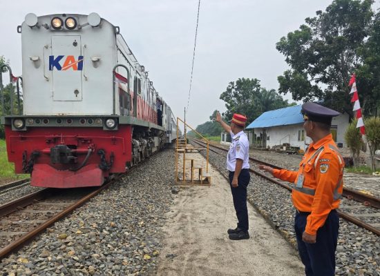 KAI Divre I Sumut Ingatkan Warga Tak Biarkan Ternak Berkeliaran di Jalur KA, 238 Sapi Mati dalam Lima Tahun