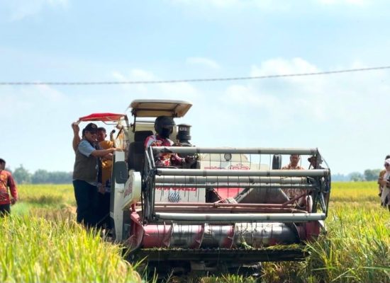 BULOG Sumut Optimistis Capai Target Penyerapan Gabah 100 Persen pada November 2026