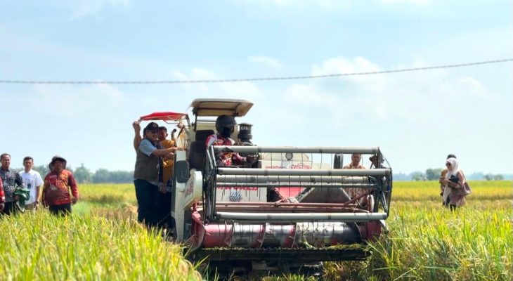BULOG Sumut Optimistis Capai Target Penyerapan Gabah 100 Persen pada November 2026